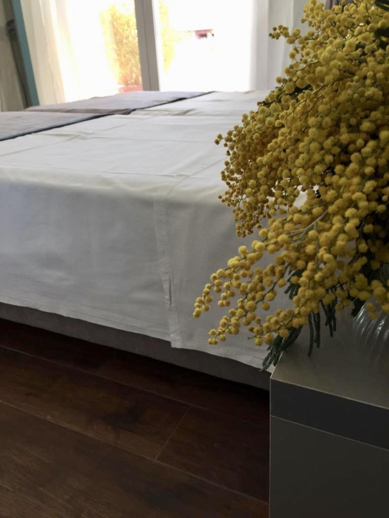Amberyellowbnb Shkodër Exterior foto